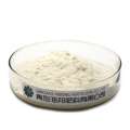 China ORGANIC Fertilizer Factory Manufacturer Agriculture Grade Chitosan Powder